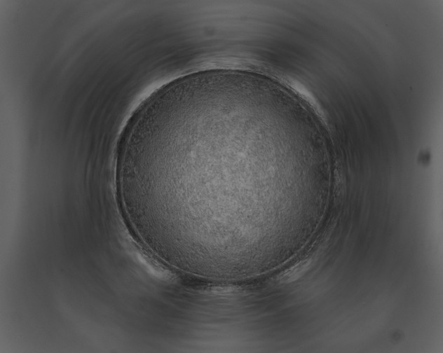 X0000091231035200708231650