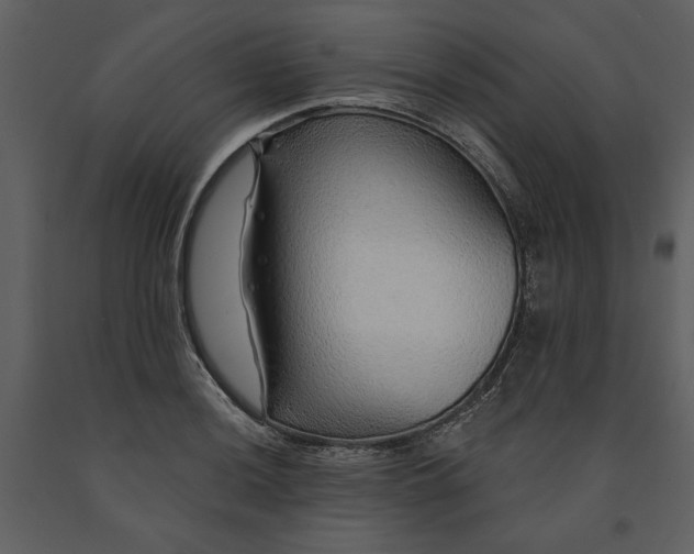 X0000091231036200708231650
