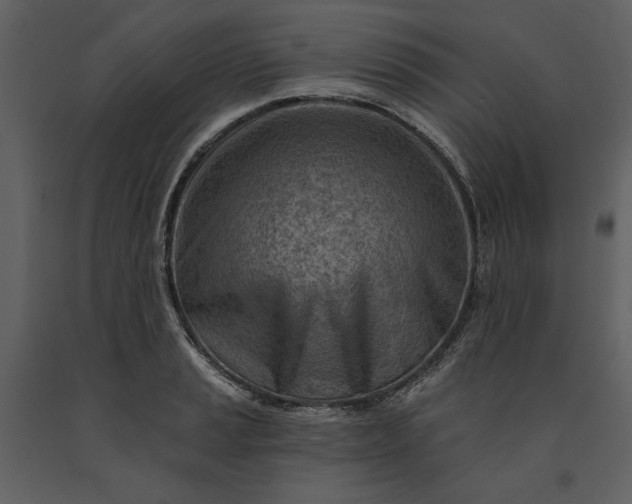 X0000091231037200708231650