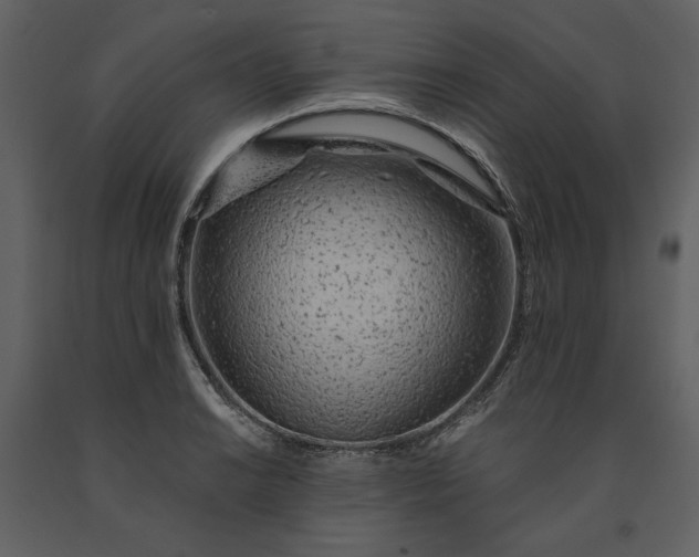 X0000091231038200708231650