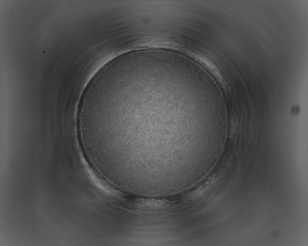 X0000091231039200708231650