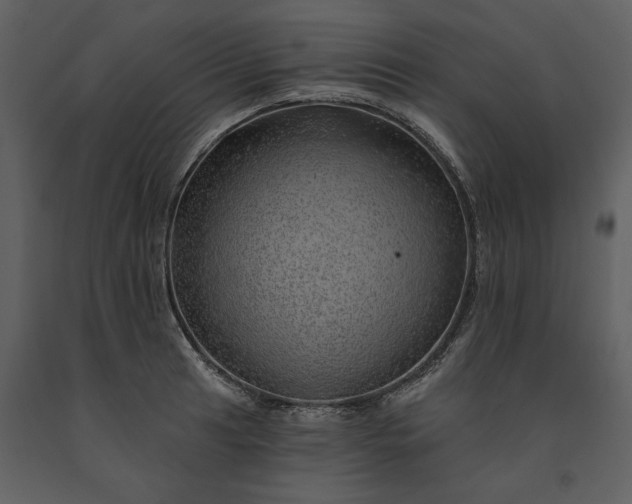 X0000091231041200708231650