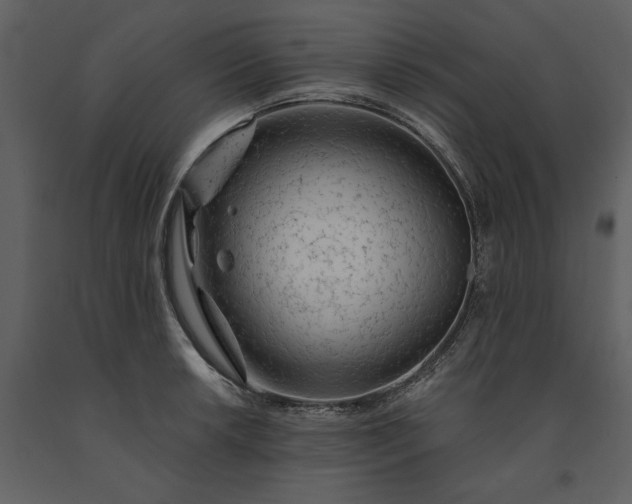 X0000091231042200708231650