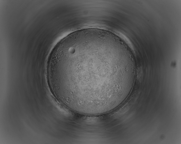 X0000091231043200708231650