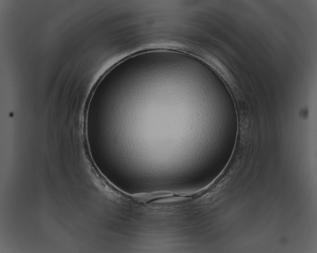 X0000091231044200708231650