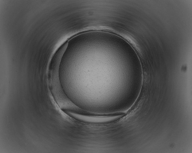 X0000091231046200708231650