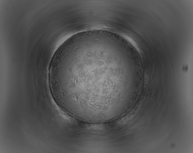 X0000091231047200708231650