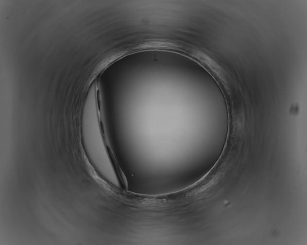 X0000091231049200708231650