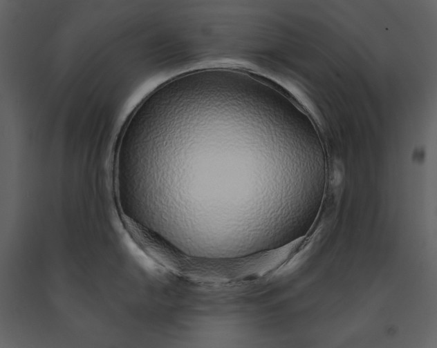 X0000091231054200708231650