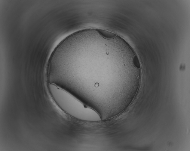 X0000091231056200708231650