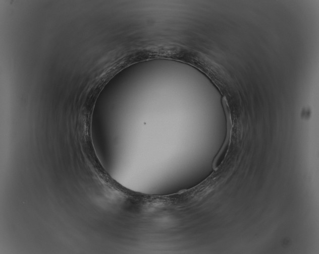 X0000091231058200708231649