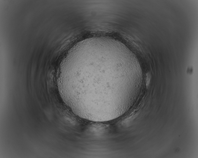 X0000091231059200708231649