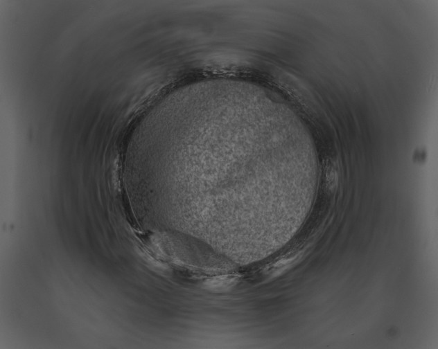 X0000091231060200708231649