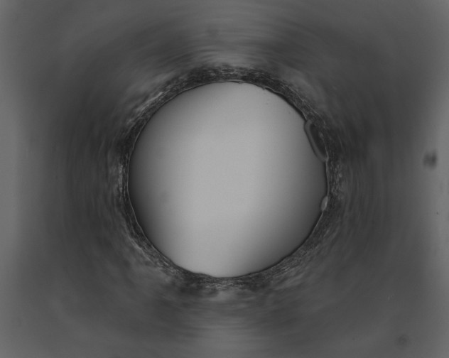 X0000091231061200708231649