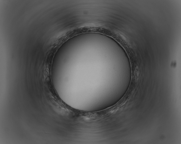 X0000091231062200708231649