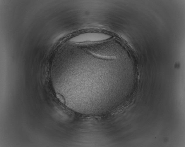 X0000091231063200708231649