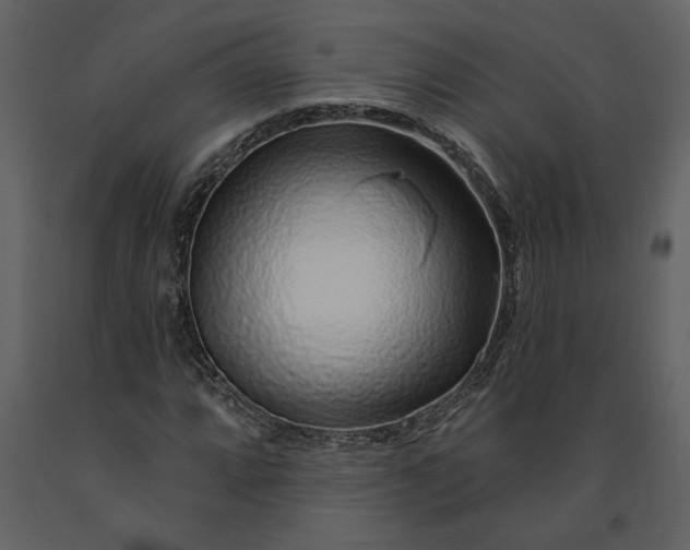 X0000091231064200708231649