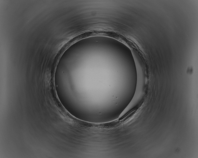 X0000091231065200708231649