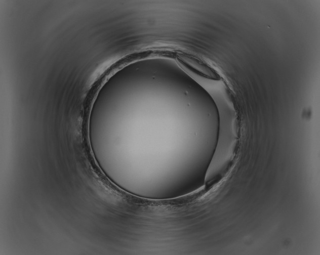 X0000091231066200708231649