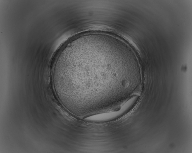 X0000091231067200708231649