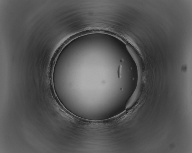 X0000091231068200708231649