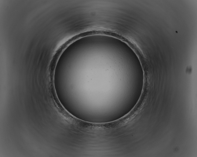 X0000091231070200708231649
