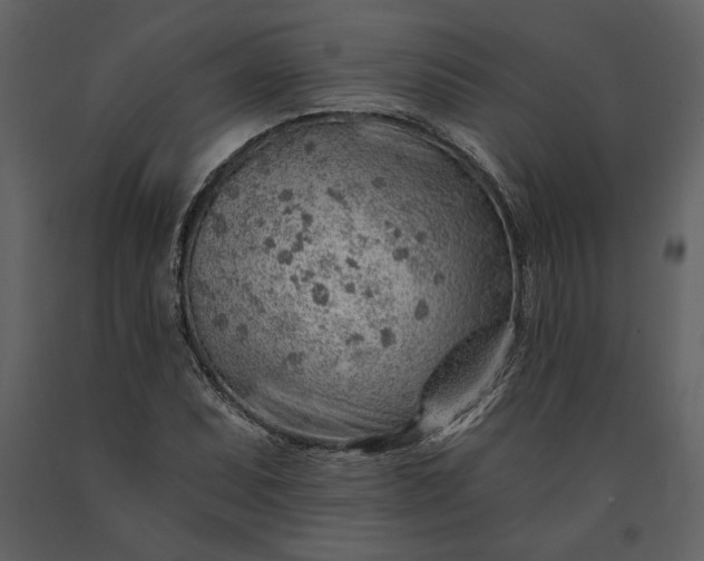 X0000091231071200708231649