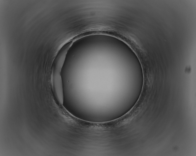 X0000091231073200708231649