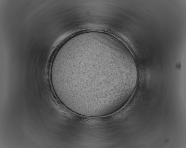X0000091231074200708231649