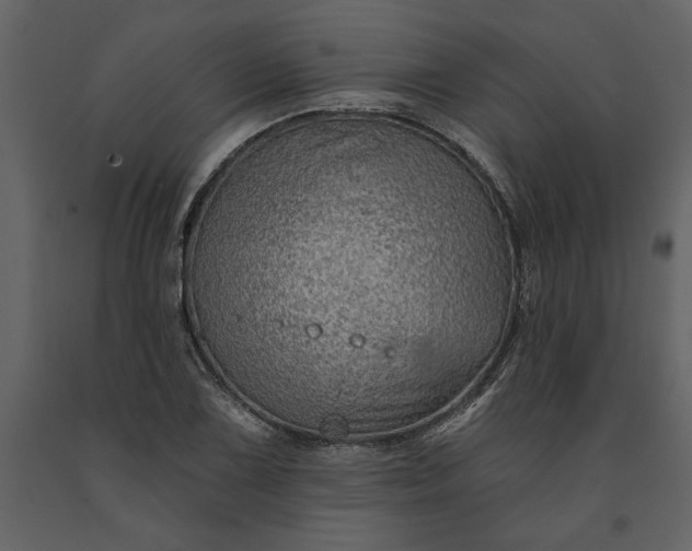 X0000091231075200708231649