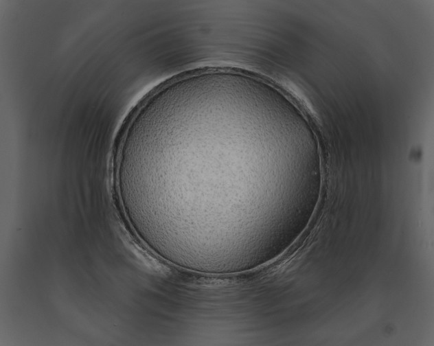 X0000091231076200708231649