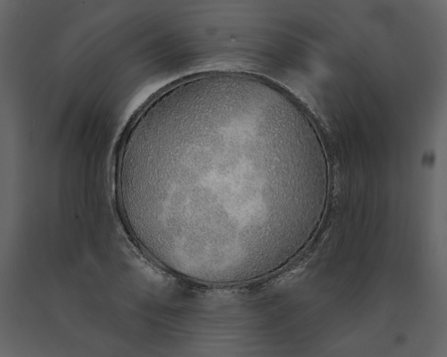 X0000091231078200708231649