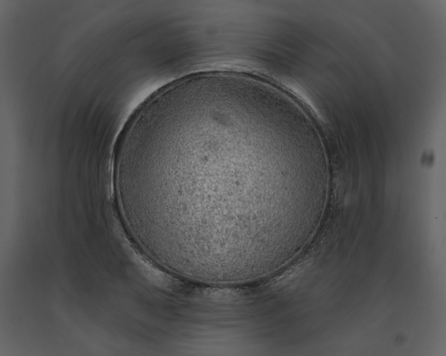 X0000091231079200708231649