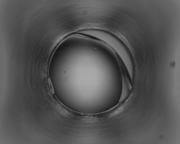X0000091231081200708231649