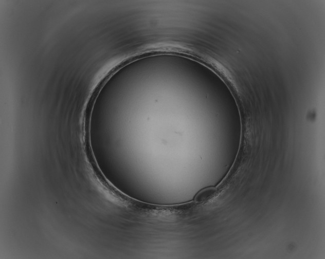 X0000091231082200708231649