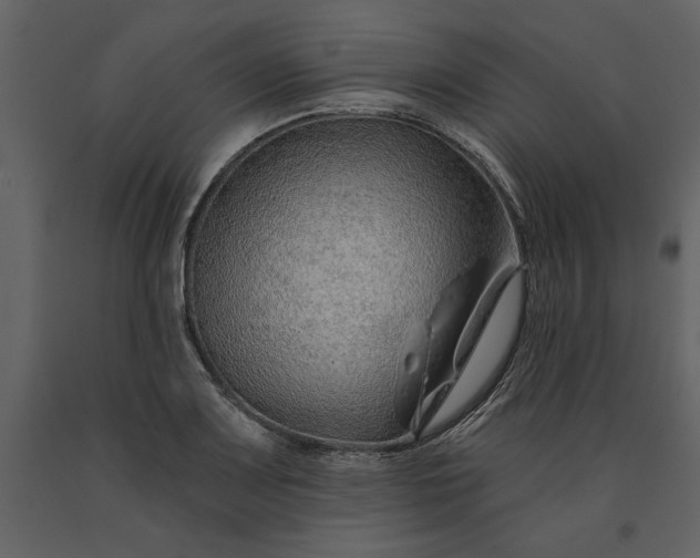 X0000091231083200708231649