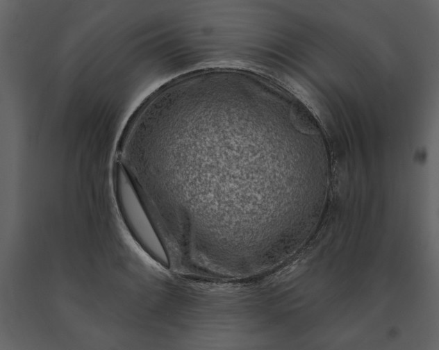 X0000091231084200708231649