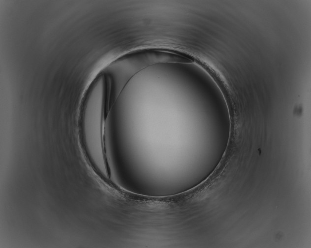 X0000091231085200708231649