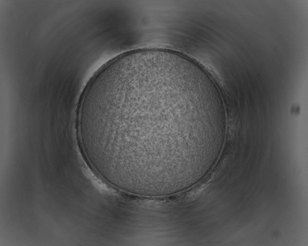 X0000091231086200708231649