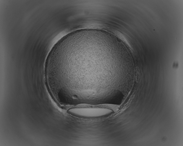 X0000091231087200708231649