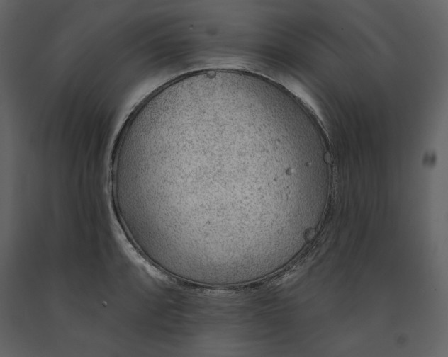 X0000091231088200708231649