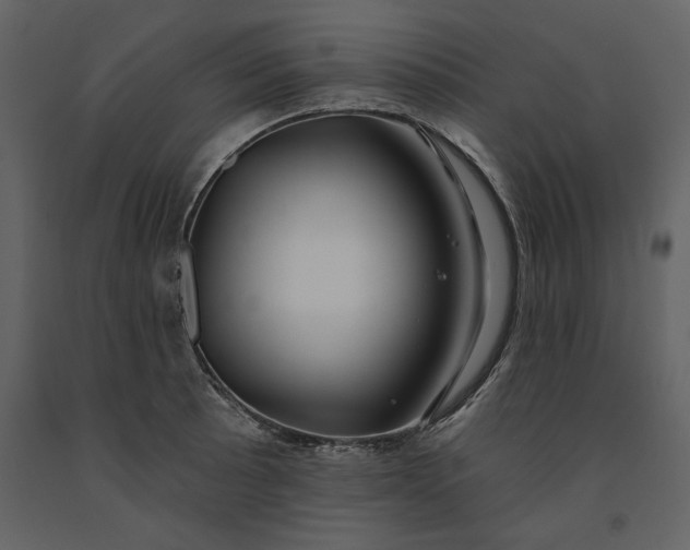 X0000091231089200708231649
