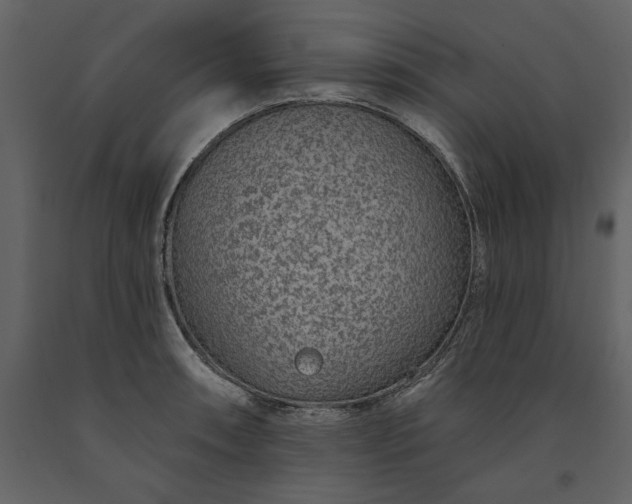 X0000091231090200708231649