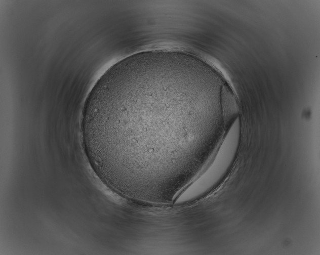 X0000091231091200708231649