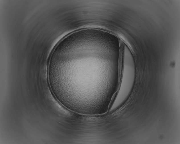 X0000091231092200708231649