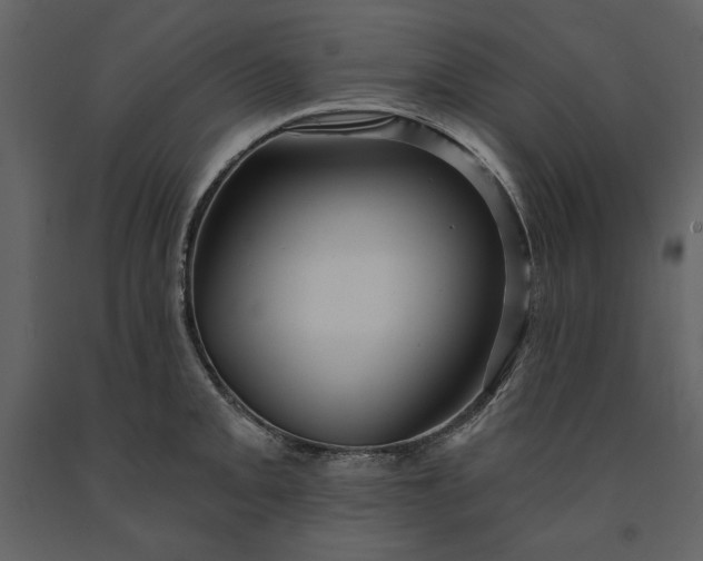 X0000091231093200708231649