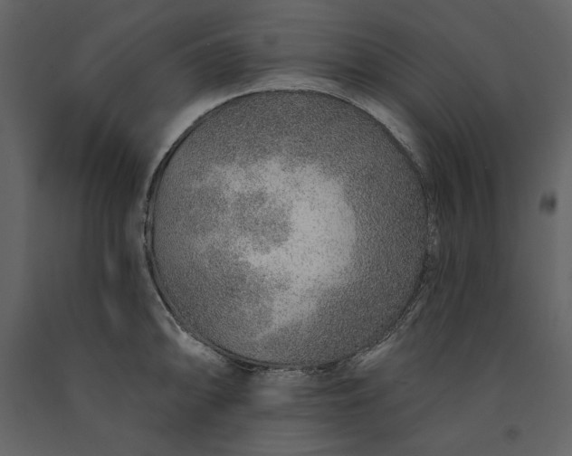 X0000091231094200708231649