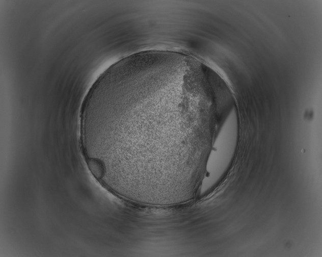 X0000091231095200708231649