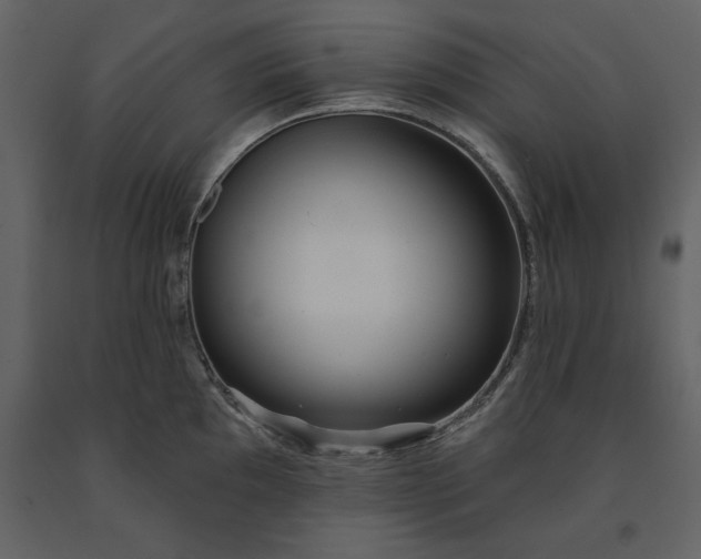 X0000091231097200708231649