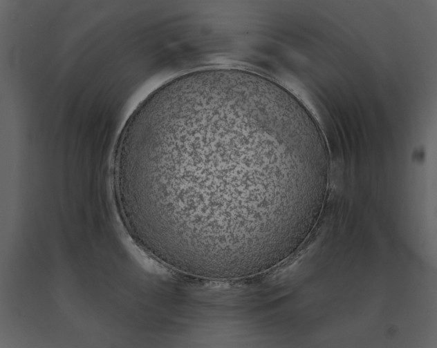 X0000091231098200708231649